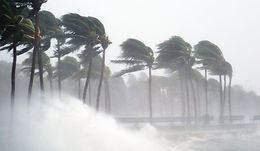 Storm