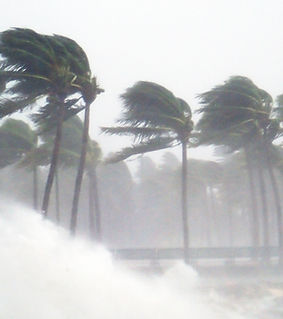 Tropical Storm