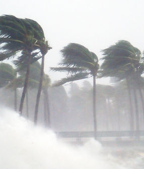 Tropical Storm