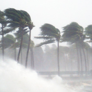 Climate Change Impact