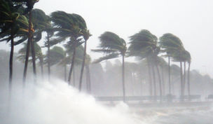 Leukemia’s Storms of Life: Learn….Act…..Give