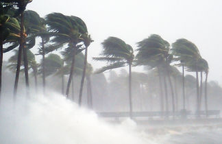 Tropical Storm
