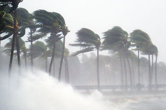 Tropical Storm