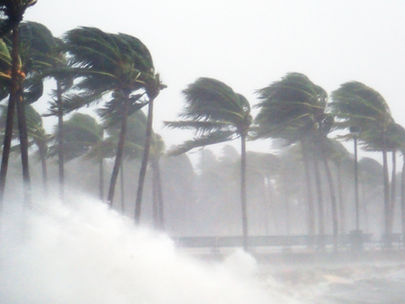 Hurricane Idalia Strikes the Southeastern Region: Impact on Insurance Claims Introduction