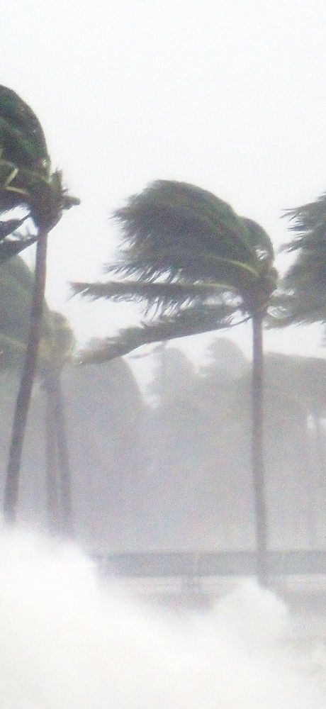 Tropical Storm