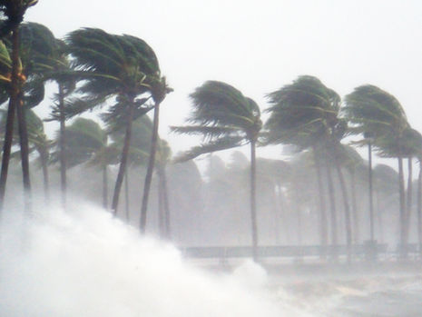Storm Related Cancellations at F1RST
