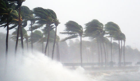 Tropical Storm