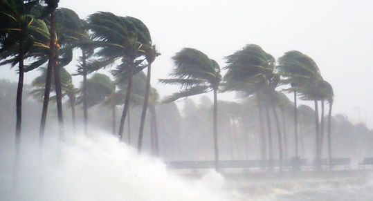Tropical Storm