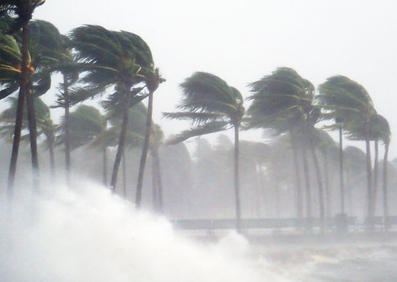 Tropical Storm