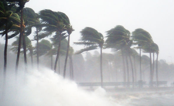 Tropical Storm