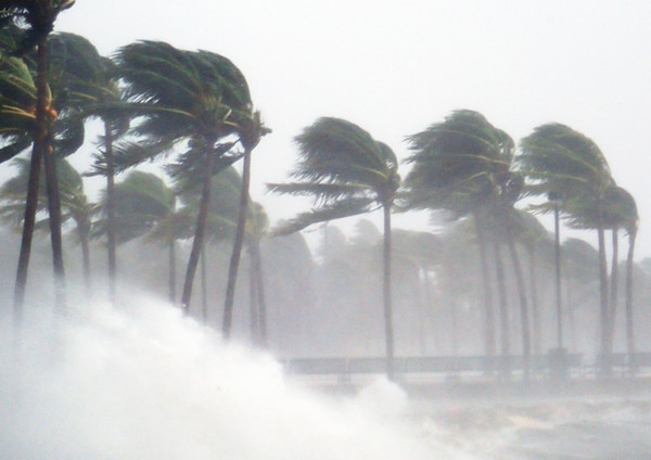 Tropical Storm