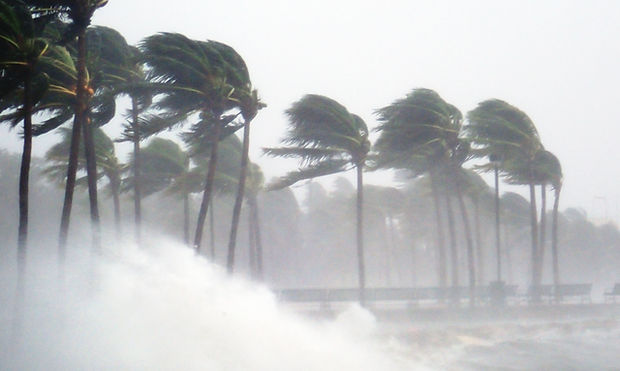 Tropical Storm