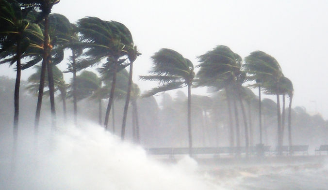 Tropical Storm