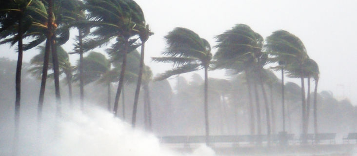 Hurricane Aftermath: What you need to know