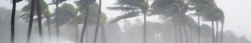 Hurricane force winds blowing at palm trees and water