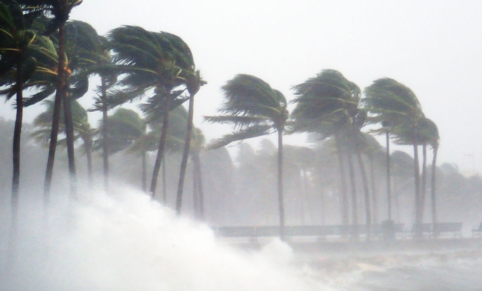 Tropical Storm