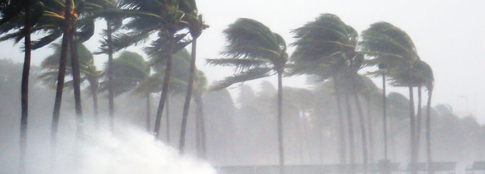 Tropical Storm