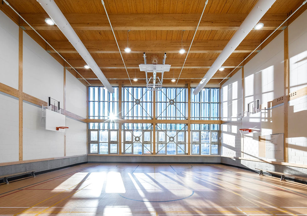 École Fernand-Seguin bois