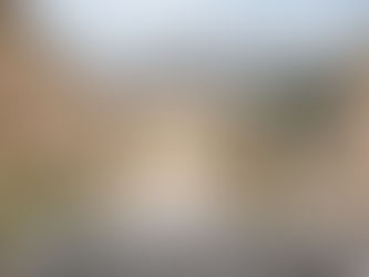 Dossier bois : Le bois prend de la hauteur - littéralement