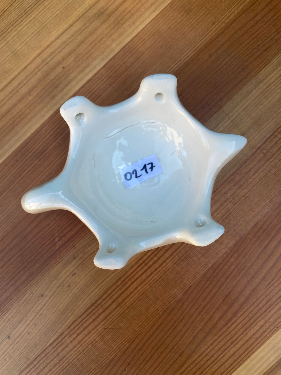 Thumbnail: Želvička - vada na kráse