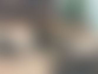 Field Report: Burma Army Massacres Civilians and Buddhist Monks in Shan State and Kills Children in Karen State, 8 March - 12 March