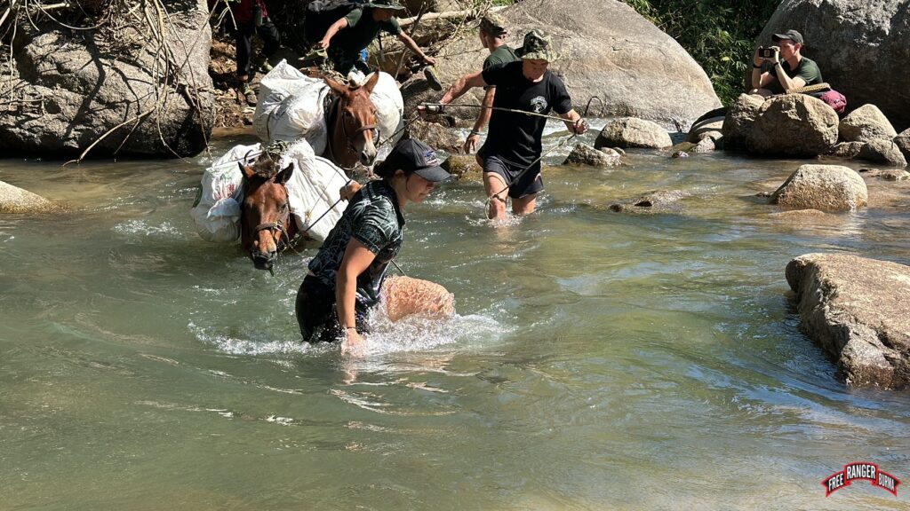 On the move from mountains to plain.