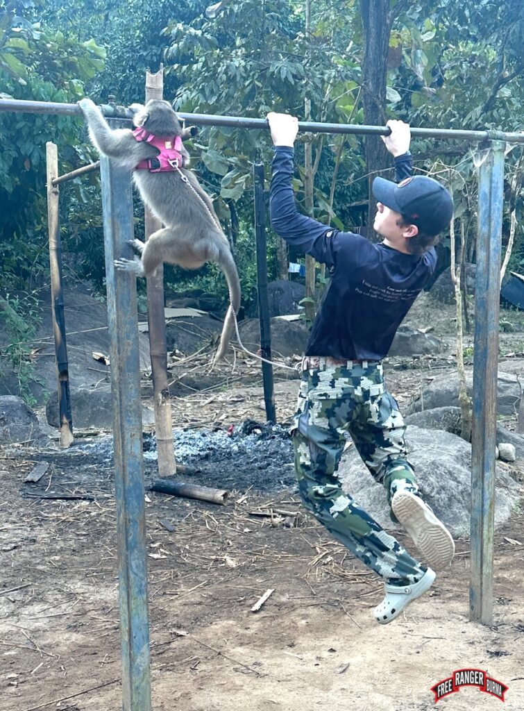 Pull-up competition.