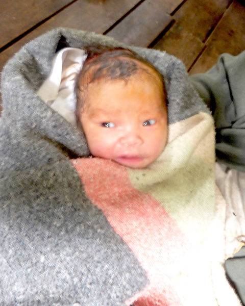 The newest arrival to the Jungle School of Medicine-Kawthoolei.