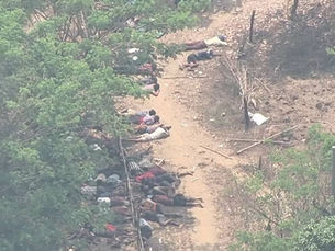 WEEKLY DISPATCH | MAR 12, 2026 