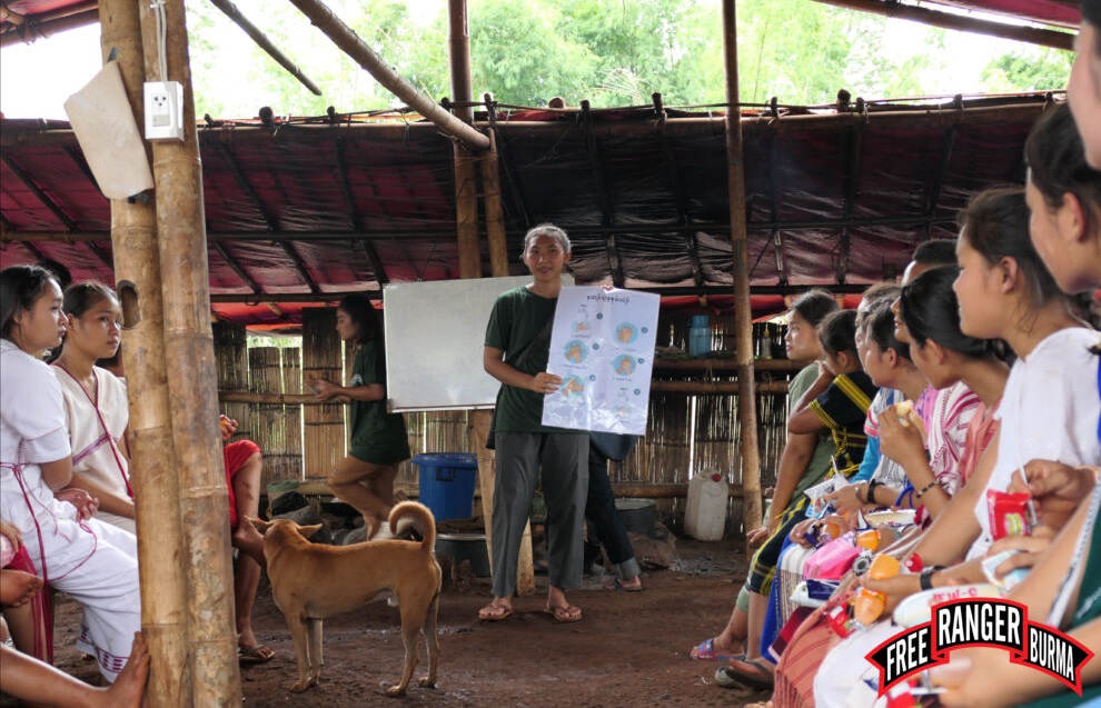 A nurse provides a class to the students on hygiene.