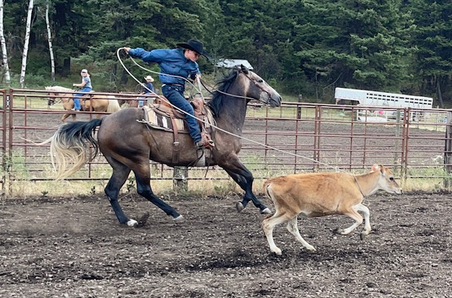 Pete ropes a calf at Diamond J in Washington.