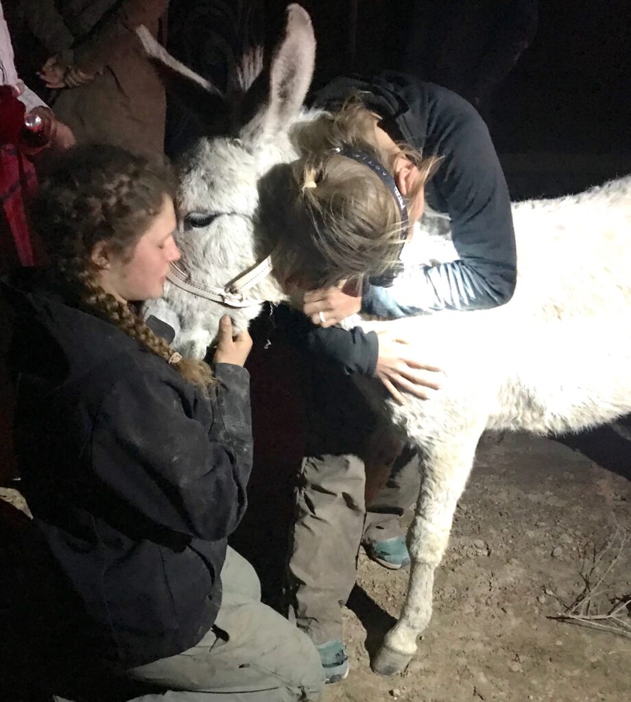 Saying goodbye at the farm.