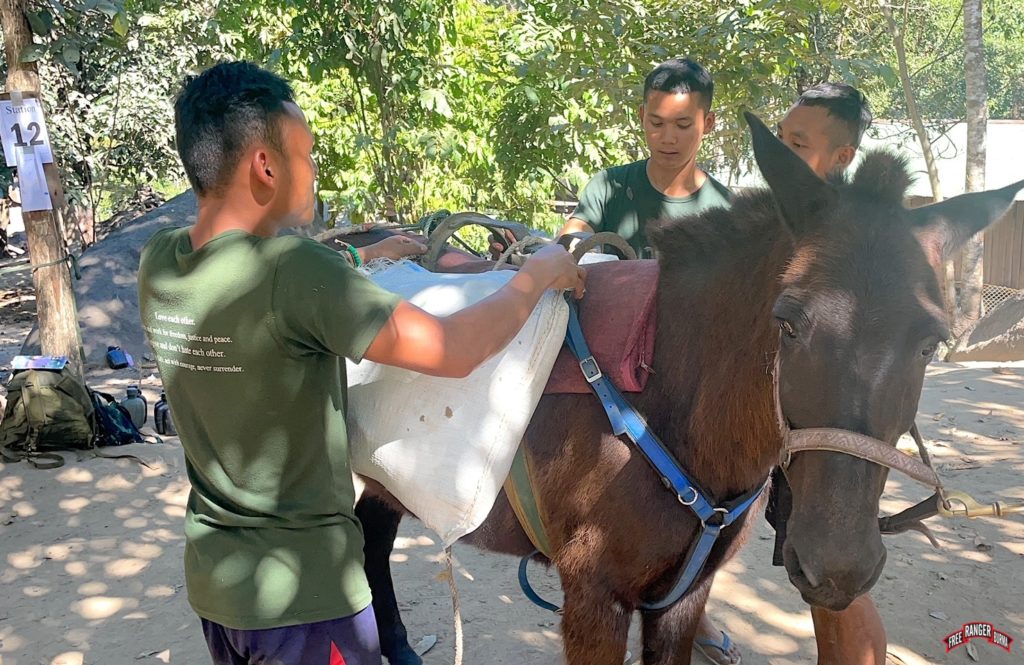 Training in horse and mule packing