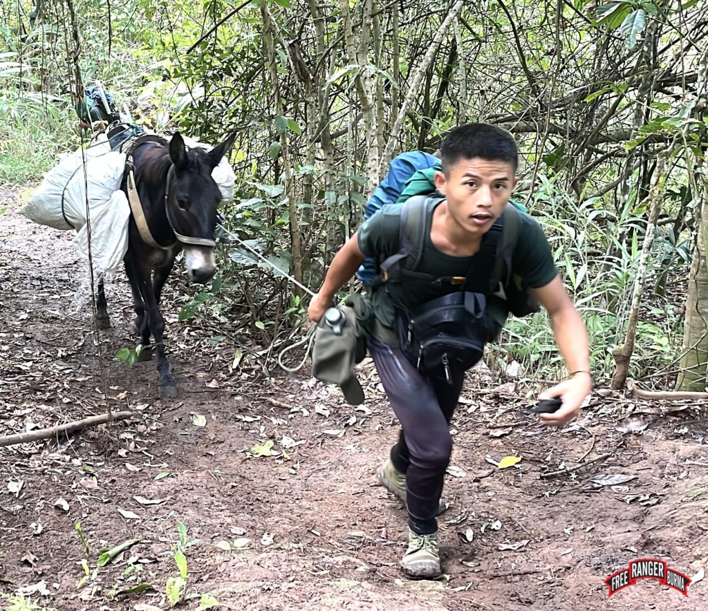 Hsi Hsi leads a pack mule across a Burma Army-controlled road.