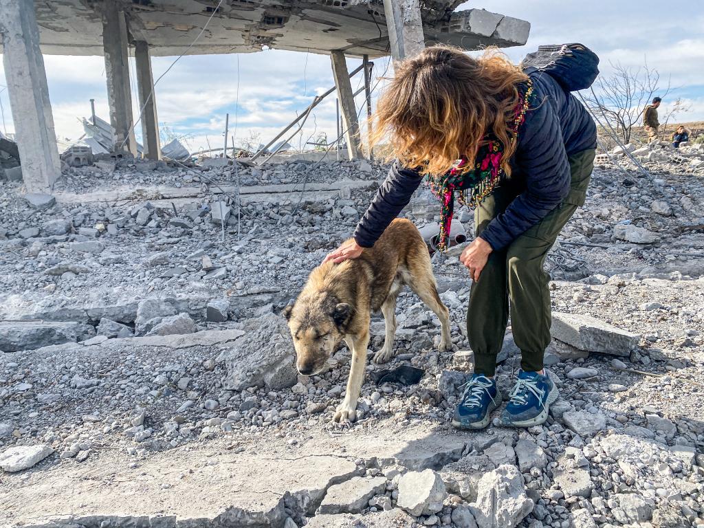 This is the wonder dog that survived the Turkish bombing near Derek, Syria. Many dogs, peacocks, and other animals were killed.