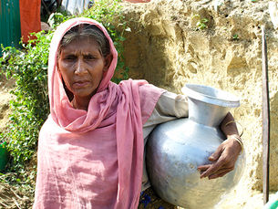 Recommendations Regarding the Rohingya