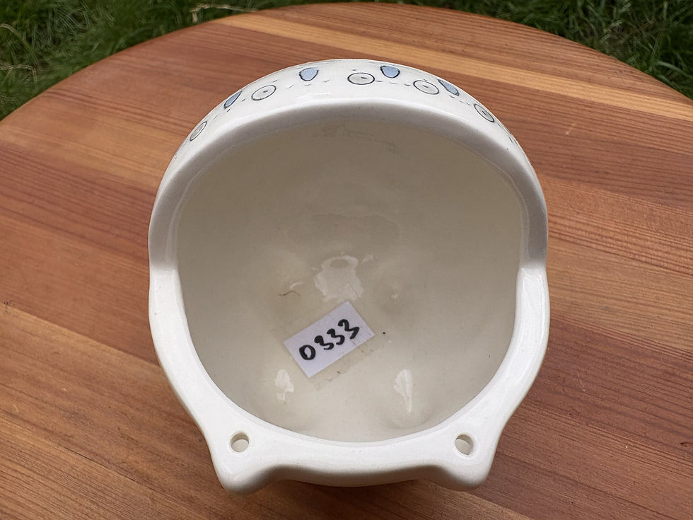 Thumbnail: Kočárek - vada na kráse