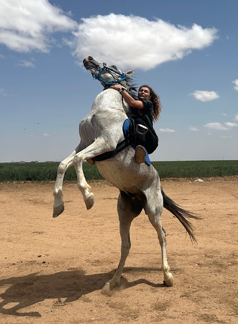 Suuzanne on Arabian horse.