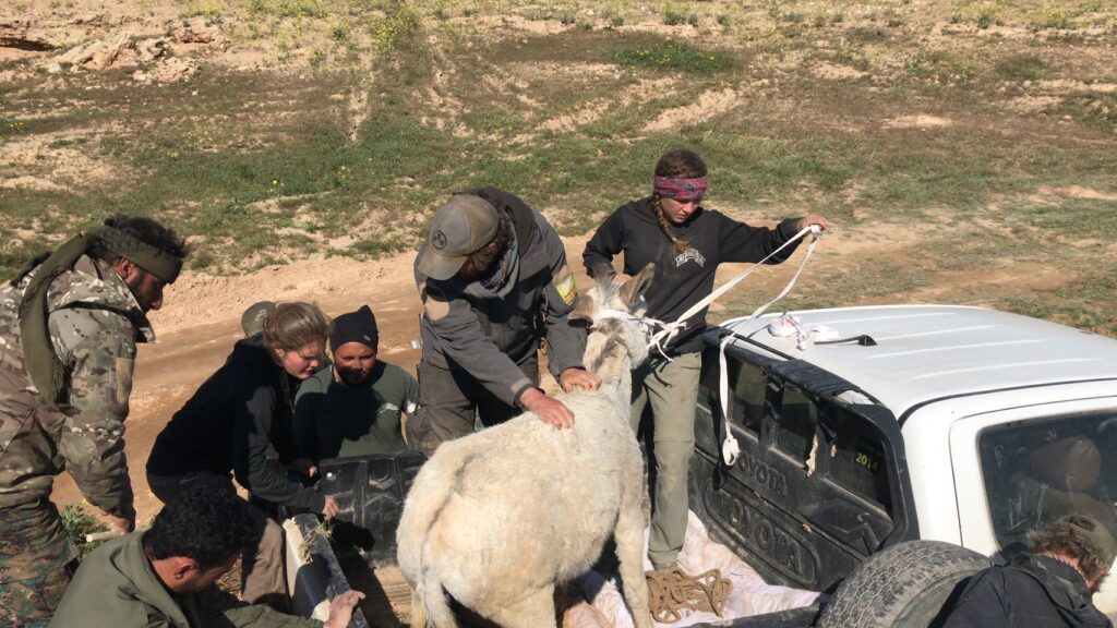 Loading Snowflake after mission.