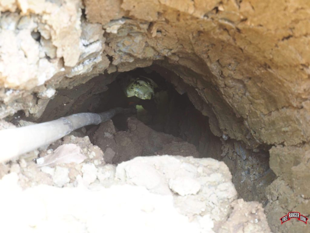 One bomb that landed in the dirt but did not explode. It still lays 15 feet underground with a two foot hole tunneling to it.