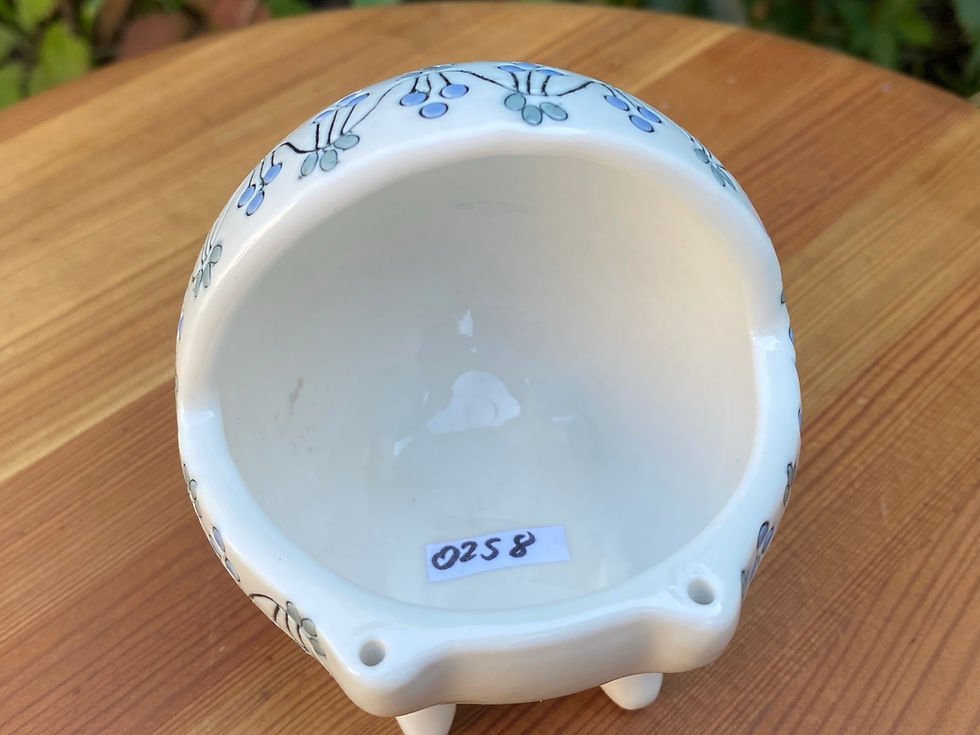 Thumbnail: Kočárek - vada na kráse