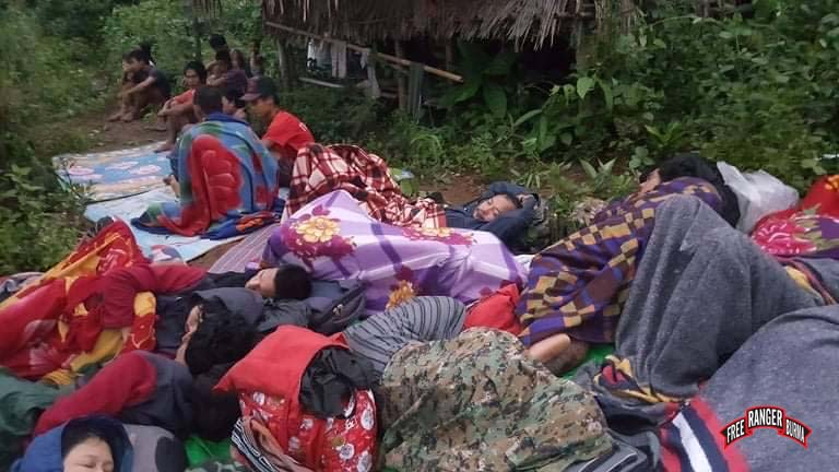 IDPs sleeping in the jungle