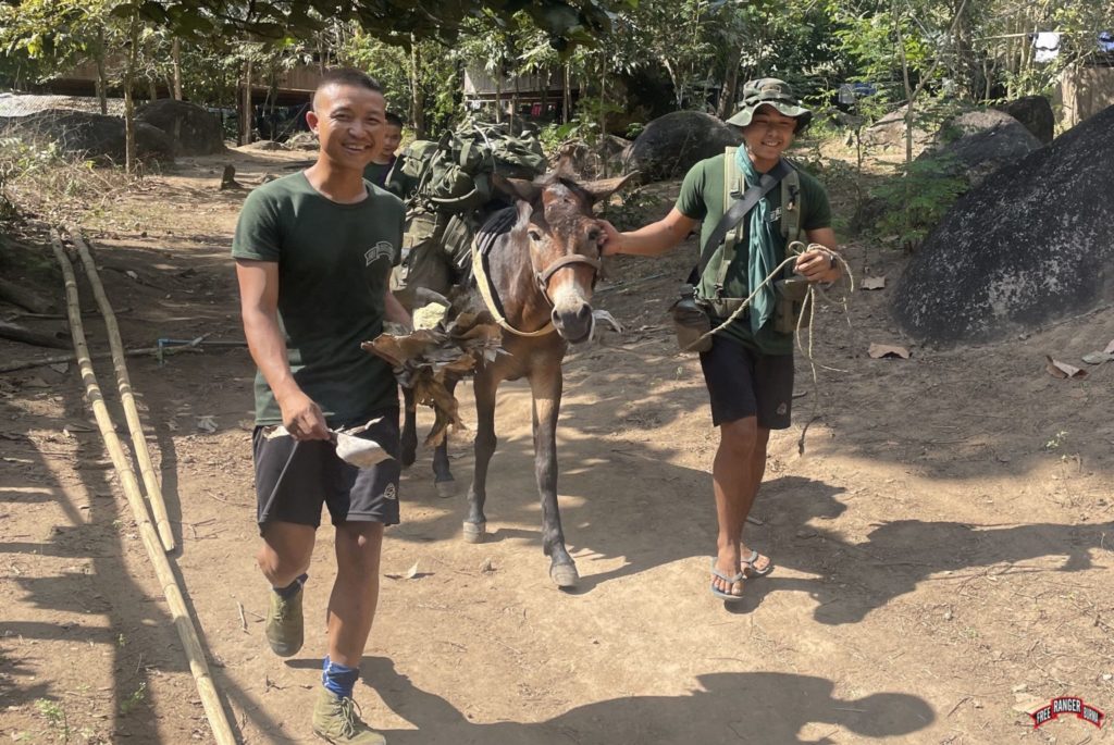 Training in horse- and mule-packing.