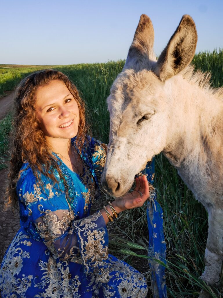 Snowflake a year later.