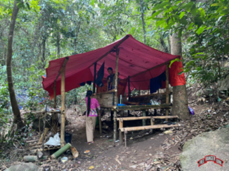 An IDP shelter in the jungle with a tarp as a roof.