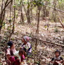 Killing, Airstrikes and Displacement Continue, With 25,000 People Displaced as the Burma Army Steps Up its Attacks in Northern Karen State