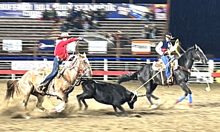 Pete (header) and his teammate Garrett Linebaugh (heeler), successfully rope in Cody, absolutely awesome night for them!