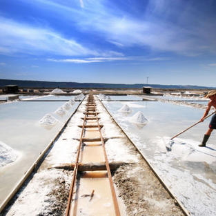 Slovenia Sea Salt.jpeg