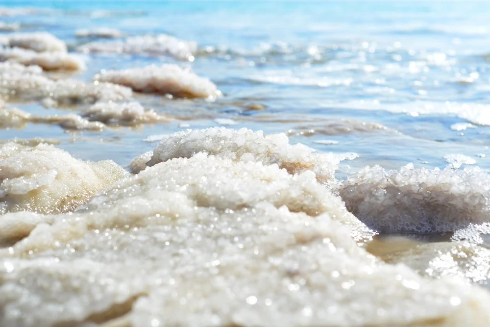 sea-salt-on-shore.webp