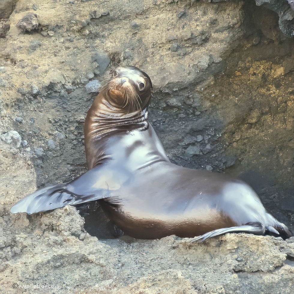 Ready for My Closeup